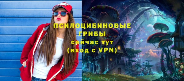 марки lsd Белокуриха