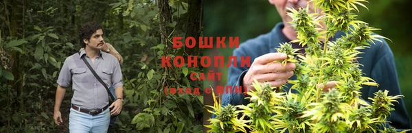 марки lsd Белокуриха