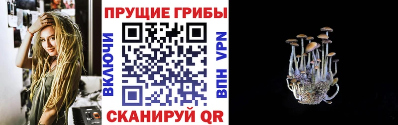 Псилоцибиновые грибы GOLDEN TEACHER  Волосово 