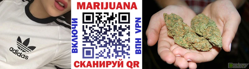 Конопля индика  Волосово 